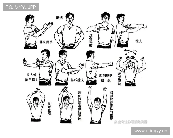 解析篮球后场规则的具体内容及违例判定标准